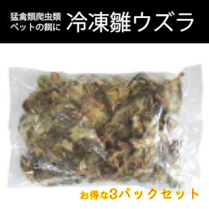 【お得な３パックセット】ペット餌用 冷凍 国産雛ウズラ 1500g 約210羽