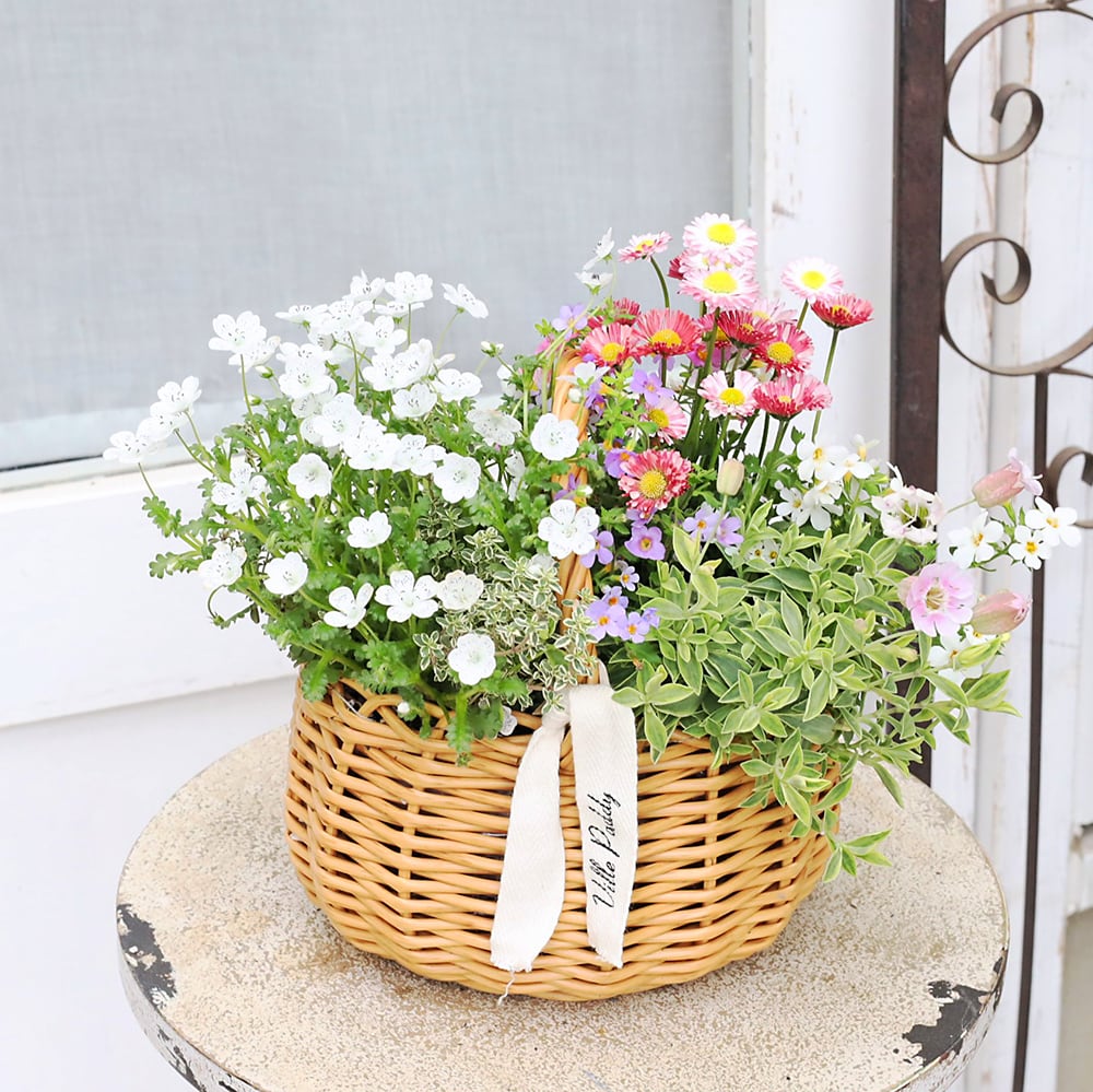 寄せ植え　花■大人可愛いバスケット a03c407ed594ecf1564a24472ffe2b