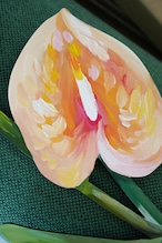flower art panel M pink anthurium
