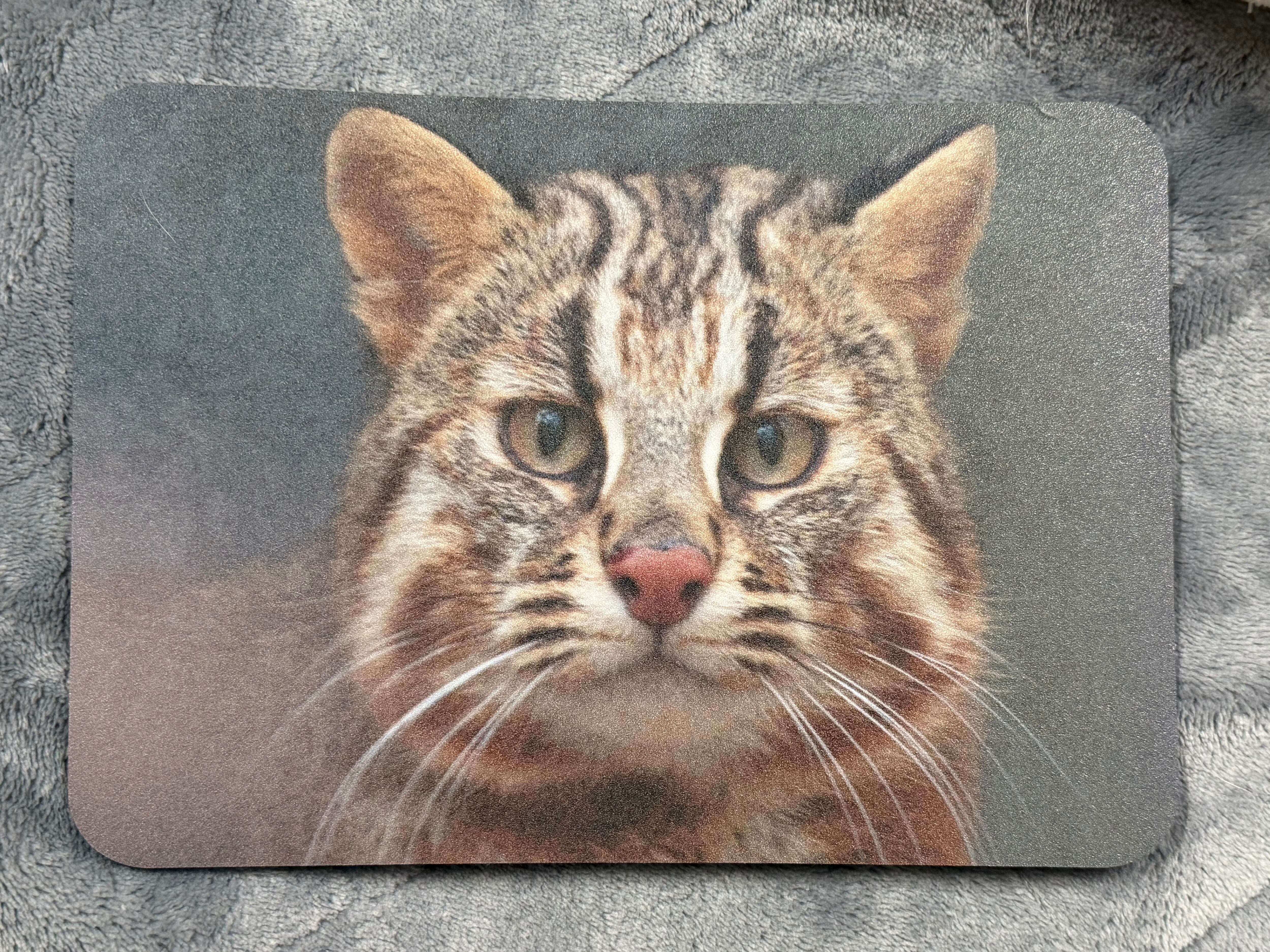 やまねこページ やまねこショップ