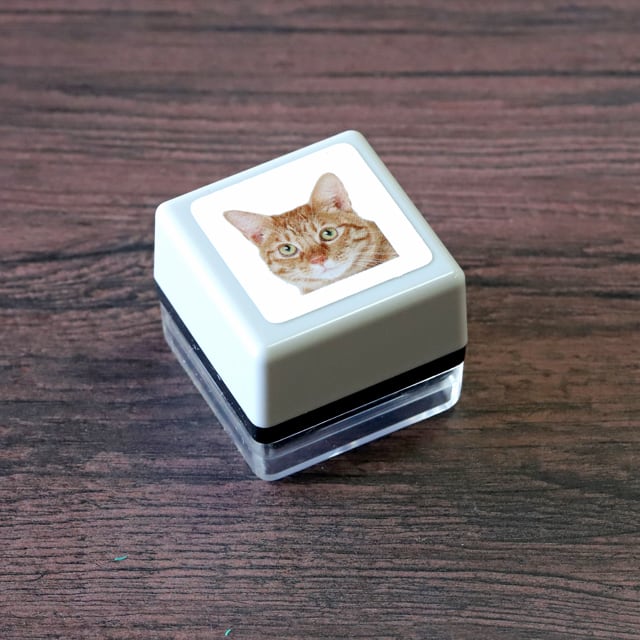 リアルふぉとスタンプ 日本猫 RP-004 | 浸透印スタンプ Yamahachi Stamp