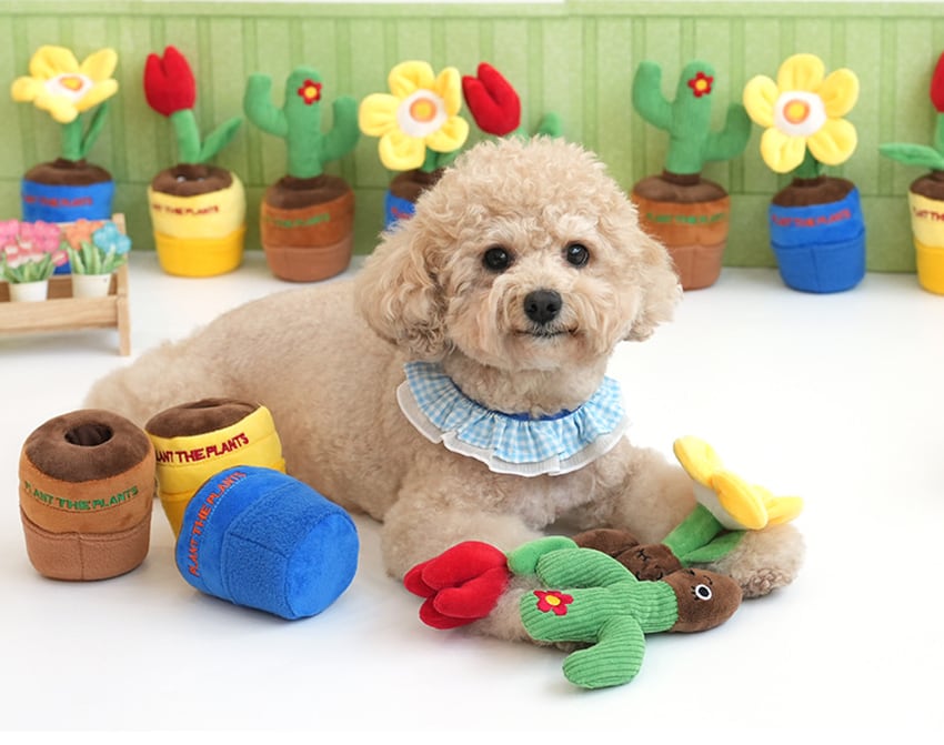 gardening snack toy  / ノーズワーク ペット 犬 おもちゃ 音が鳴る 知育玩具 ノーズワーク おやつ隠し 可愛い わんちゃん ストレス解消 インスタ映え
