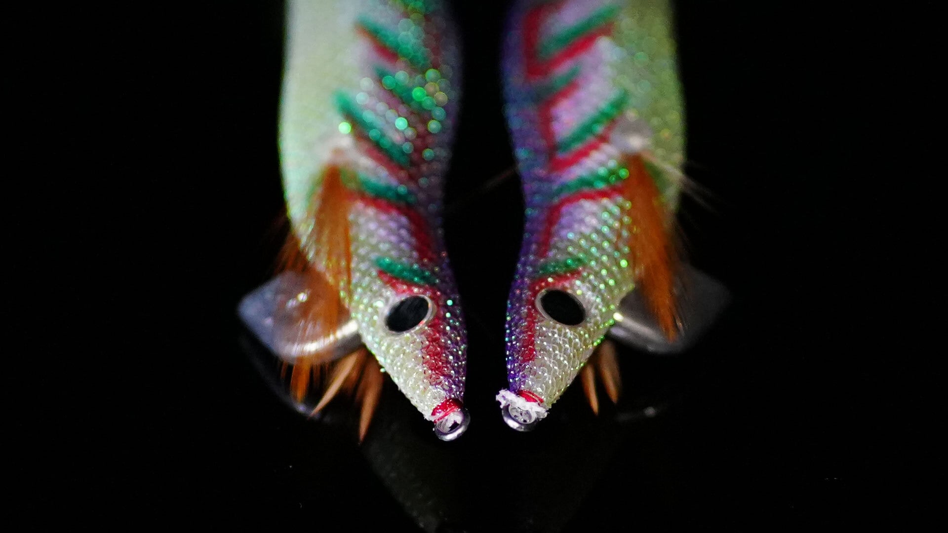 40】CROW3.0 バックグロー | EMBER MAZE official shop