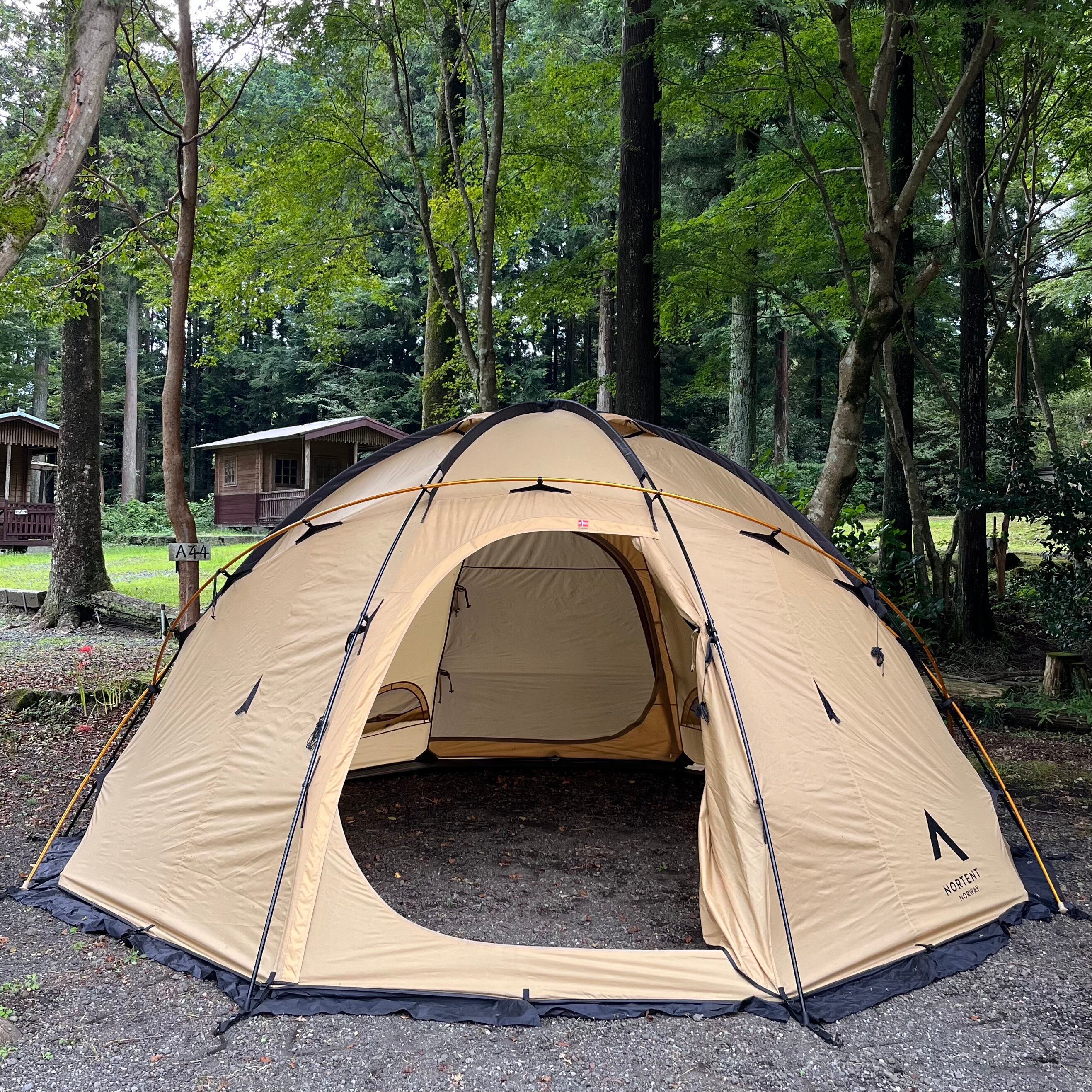 新品・お取り寄せ] Nortent Gamme8 EXTREME Gravity Gold (current