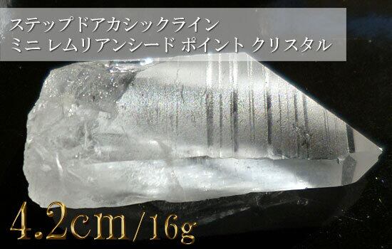 レムリアンシード 981 ミニレムリアンシード、ステップドアカシックライン、ポイント