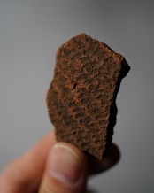 縄文土器　陶片　縄文　/　香川