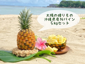 【2024年8月発送】太陽の贈りもの｜沖縄パイン（Nパイン）5kgセット