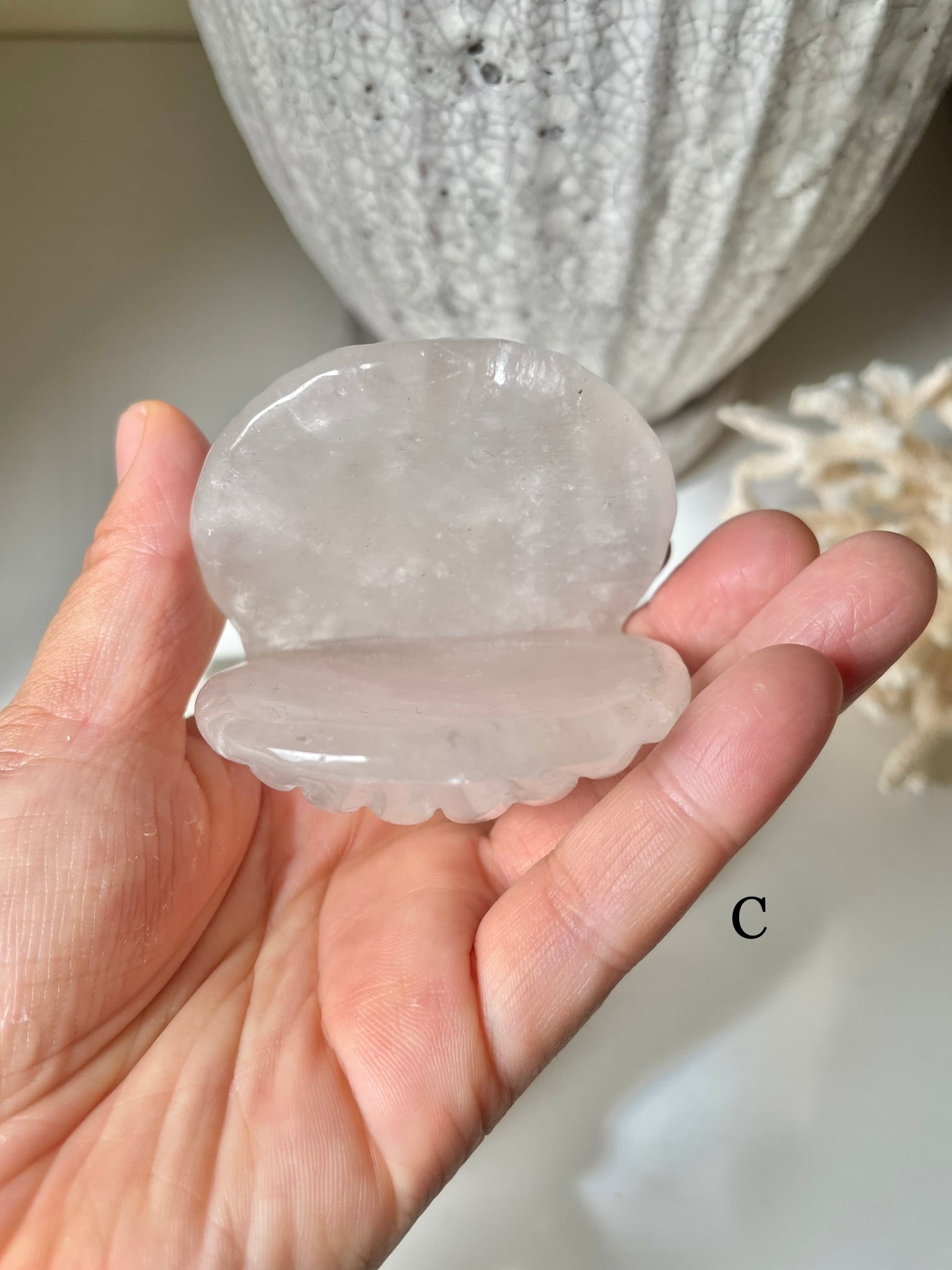 Crystal Shell / 水晶　貝