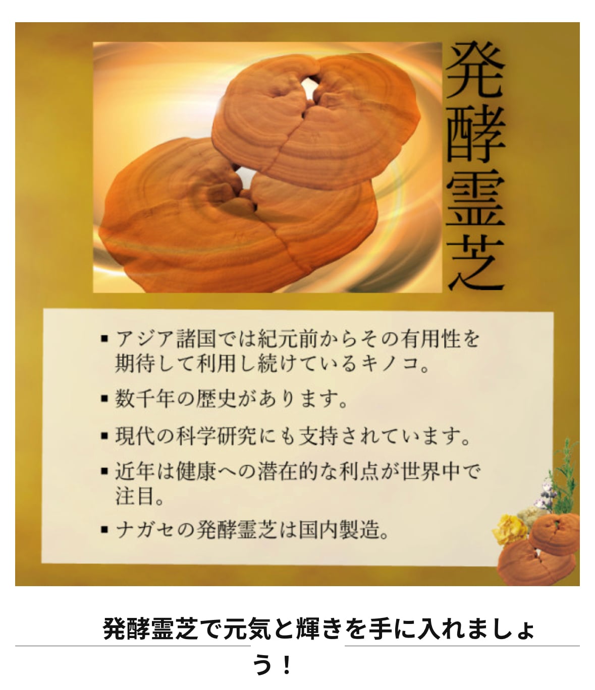 ベルマッシュ＜顆粒＞ 42g（1410mg×30包） | リラクゼーションゆず化粧品