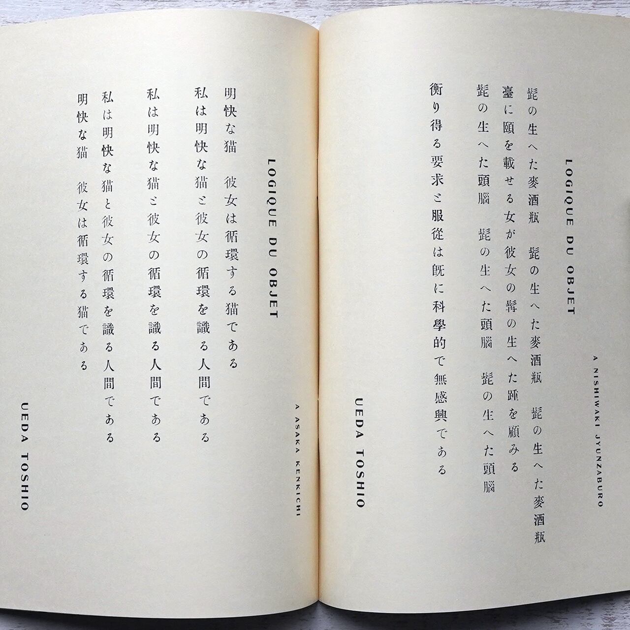 当店の記念日 薔薇魔術学説 タイムカプセル | 復刻版(西澤書店版) 詩
