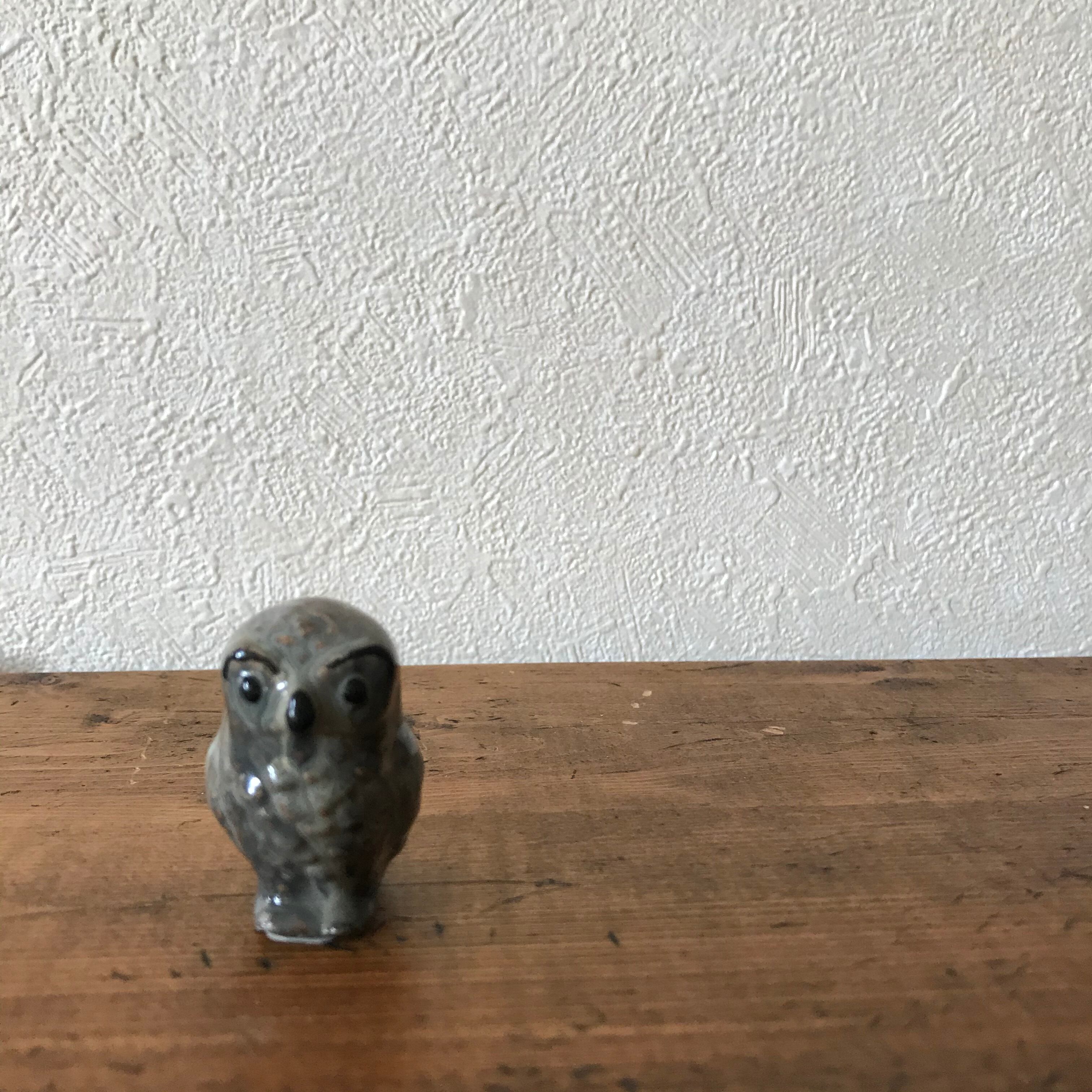 眉毛なフクロウ