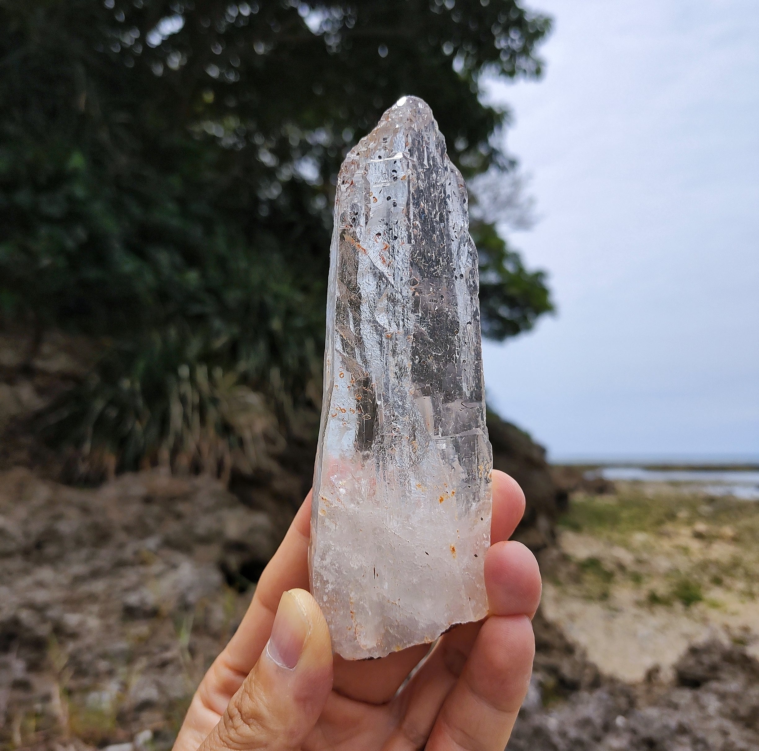 スケルタルクォーツ(SkeletalS Quartz)/ マイカ(雲母) / ライモナイト