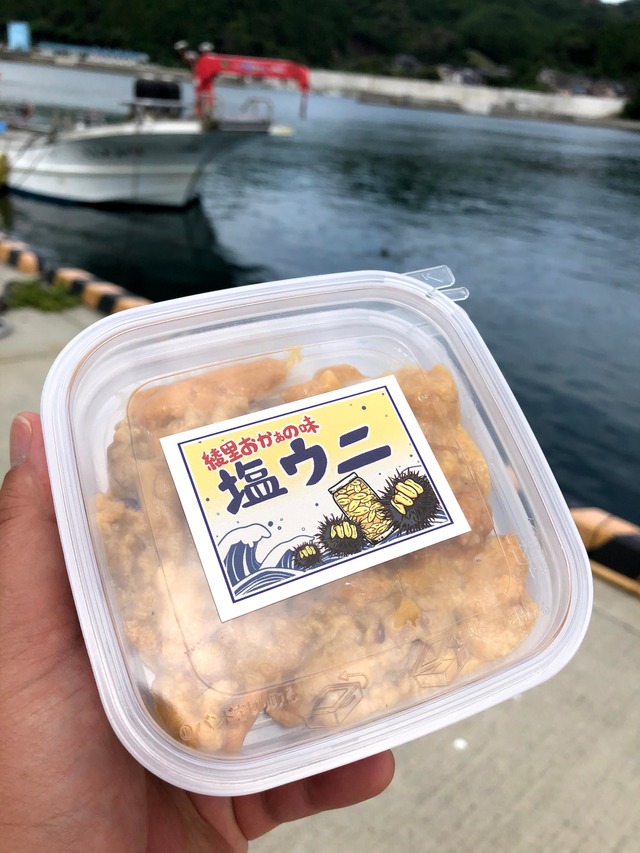 生ウニ 塩ウニ わかめセット 期間限定販売 配送日指定不可 綾里漁協オンライン 生ウニ 塩ウニ わかめセット 期間限定販売 配送日指定不可 綾里漁協オンライン