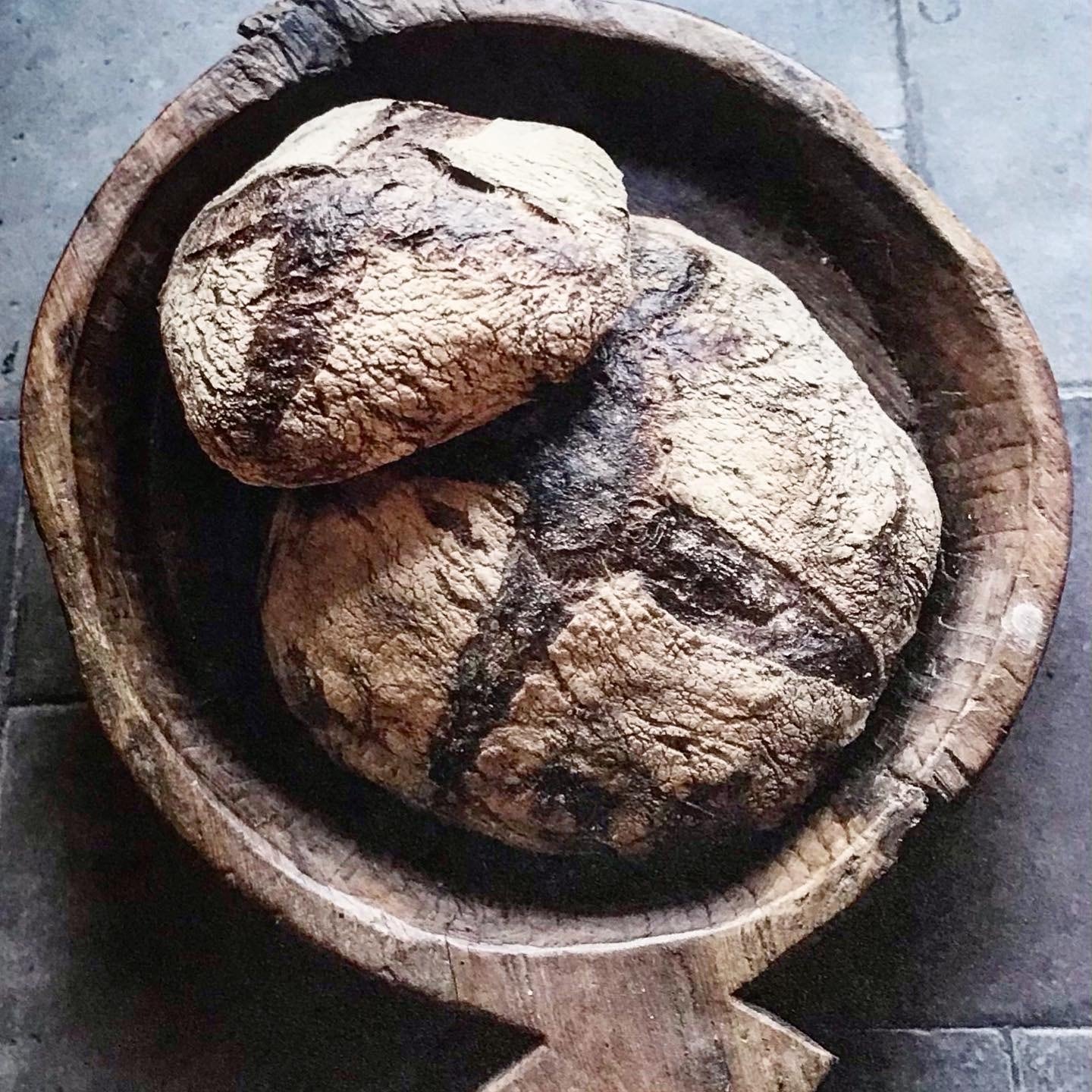 先着販売【1/6〜18発送】painstock THE HARD