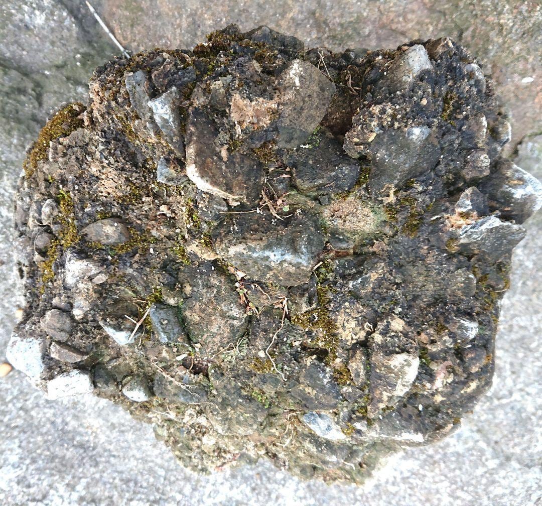 三重県産 さざれ石 6.3kg 鉱物標本 インテリア | Sasaki Stones