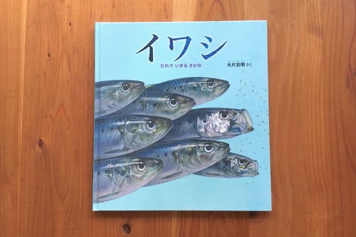 イワシ