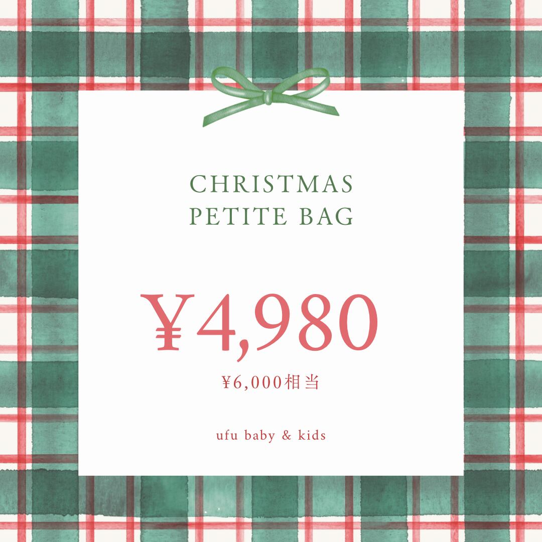 Christmas petite bag③