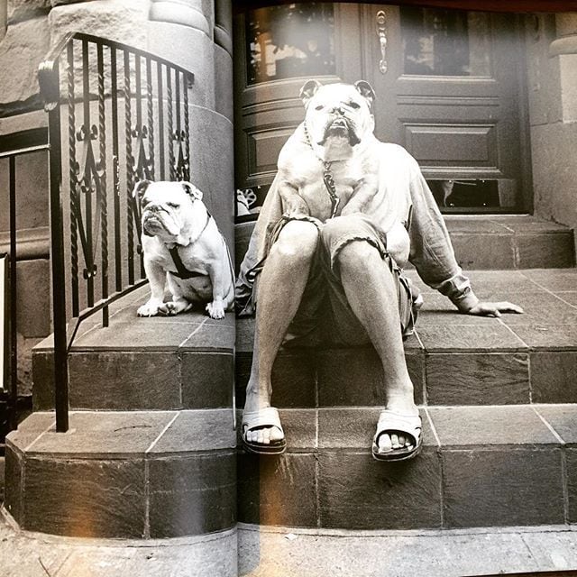 写真集「Elliott Erwitt's Dogs | 古本トロニカ 通販オンライン