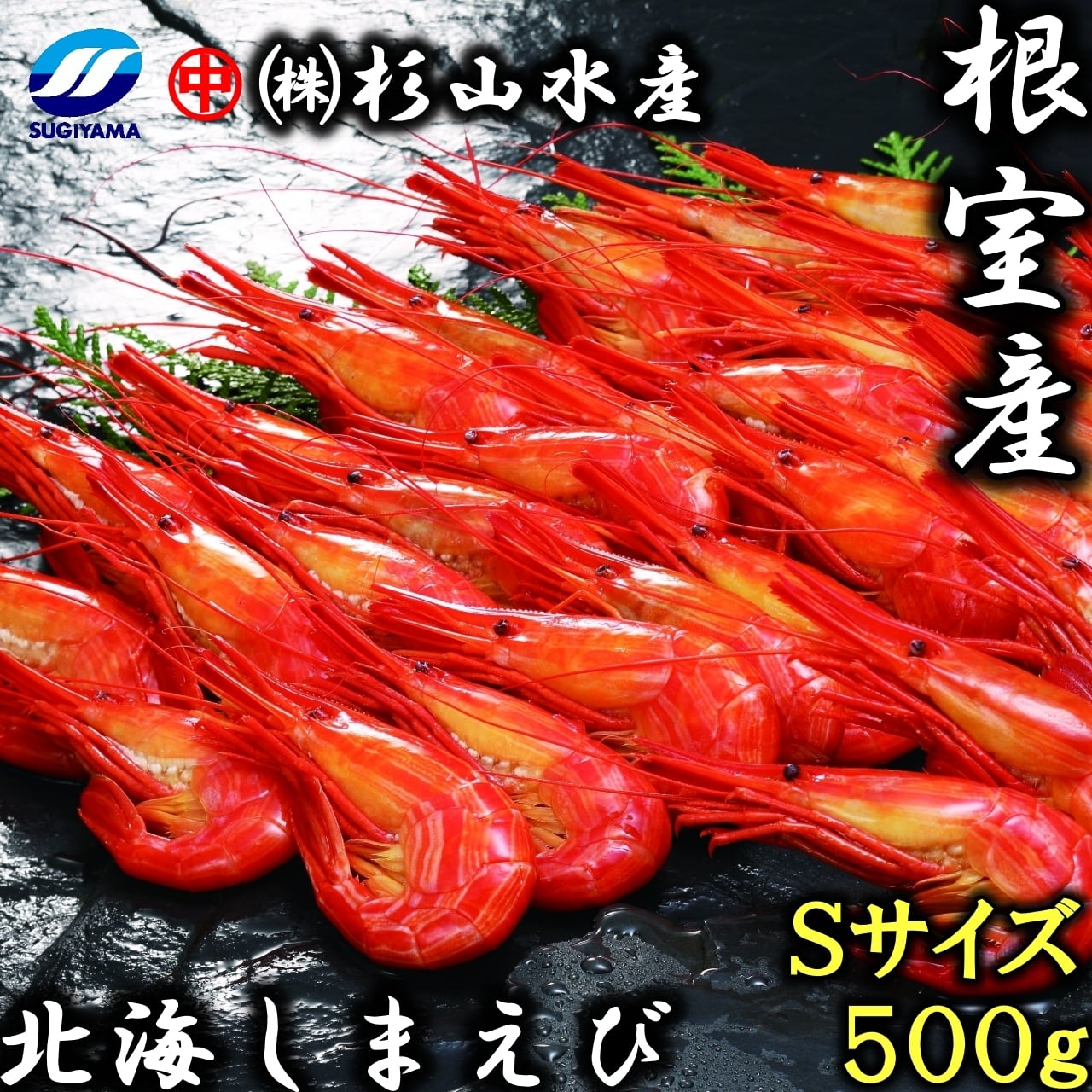 濃厚な甘み】根室産 北海シマエビ Sサイズ 500g(約36～46尾) ×1p