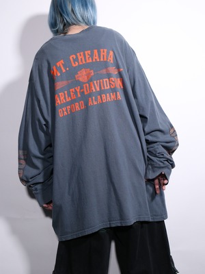 "HARKEY VIDSON" 360℃ print XXL over silhouette l/s tee