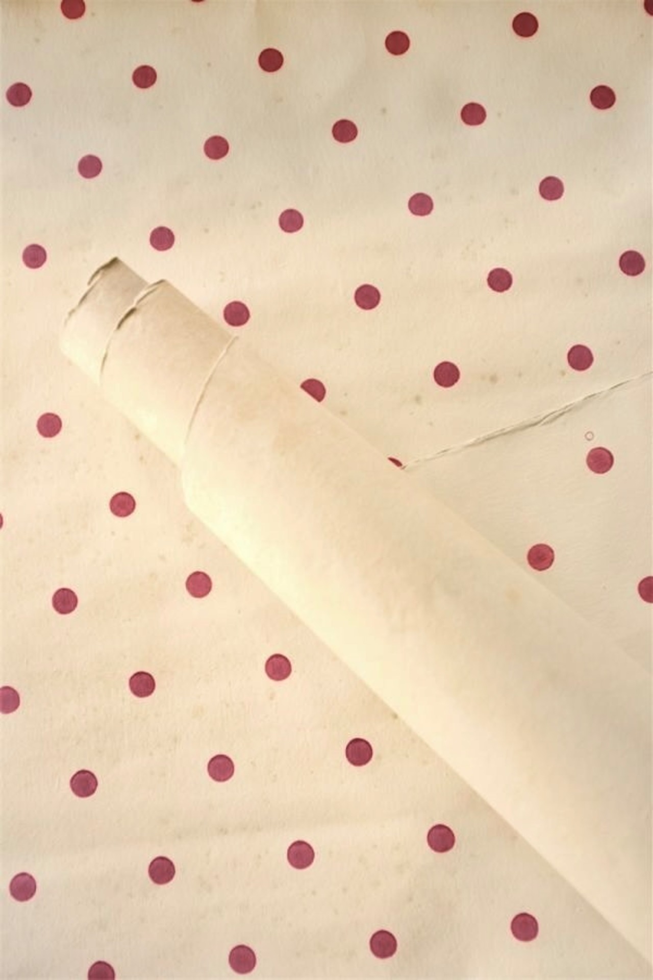 1900s フランス ハンドスタンプ Parisと古薔薇とドットと壁紙 ウォールペーパー アンティーク