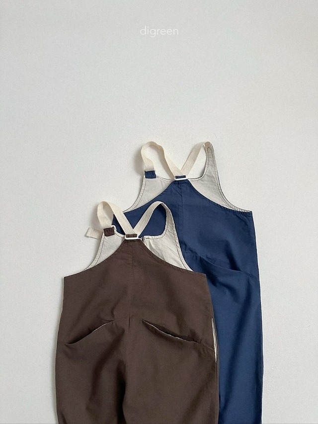 〘予約〙digreen / nova overalls