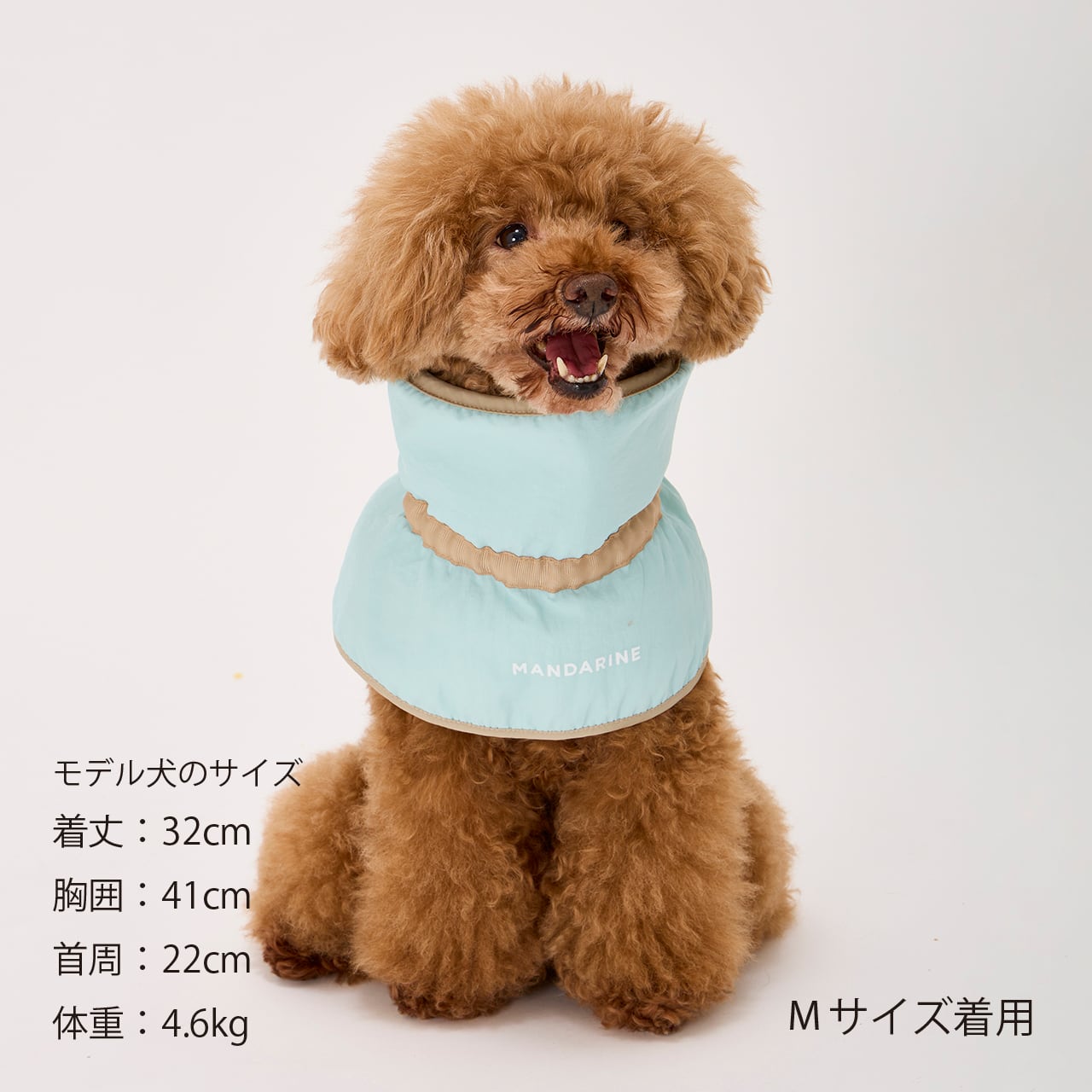 COOLING COLLAR（XL） クーリングカラー | MANDARINE BROTHERS