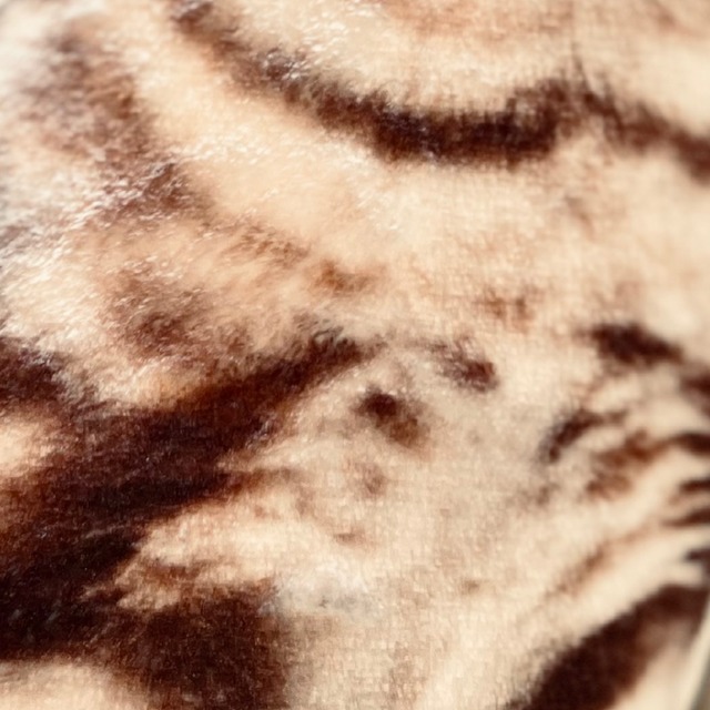 うちの子クッション【モコモコ生地】M サイズ