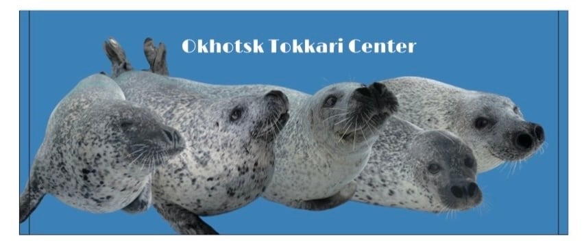 アザラシ大好き とっかりセンター オリジナルフェイスタオル ゴマフアザラシ オス集合