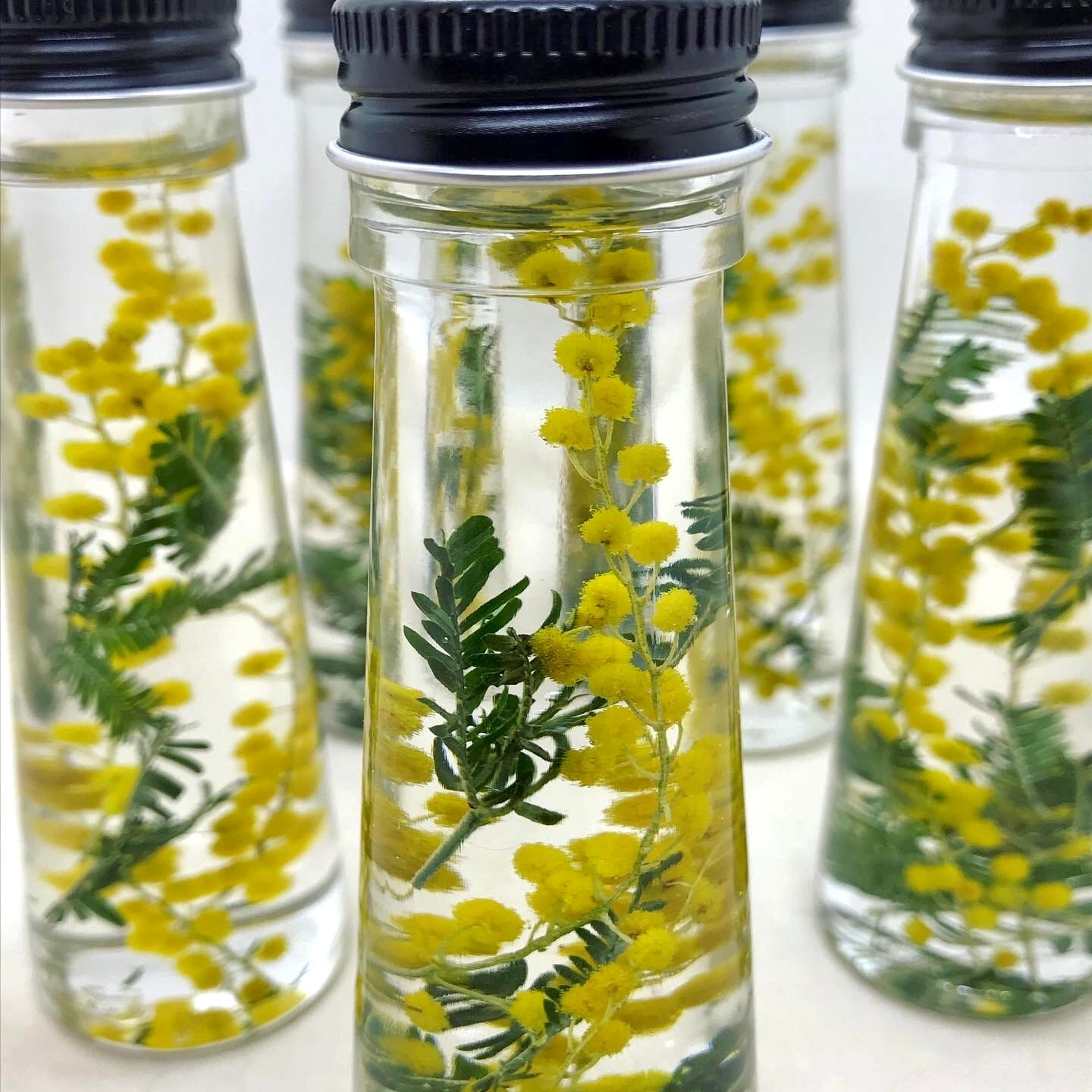 春のミモザハーバリウム～yellow happy～ミモザは生花からドライ