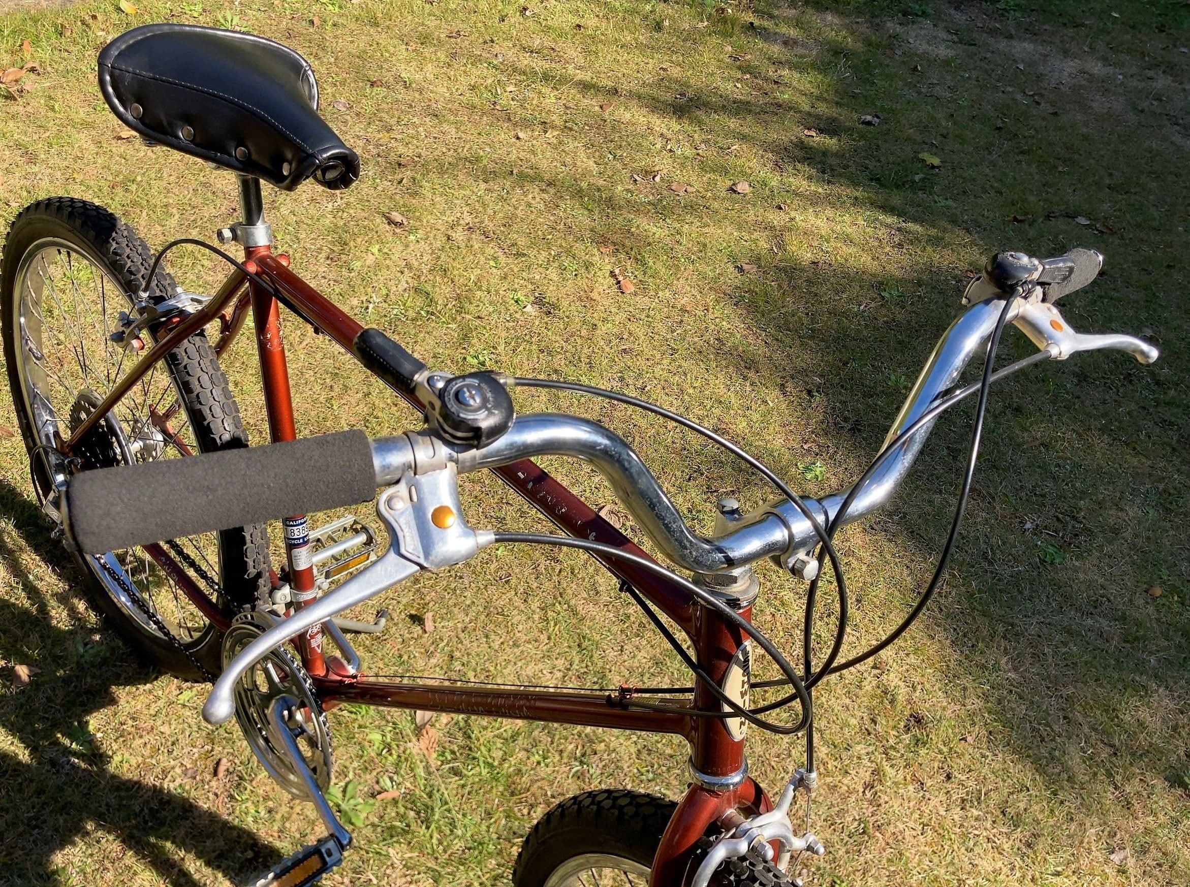 1983 Schwinn Sidewinder | CALI BIKES SC