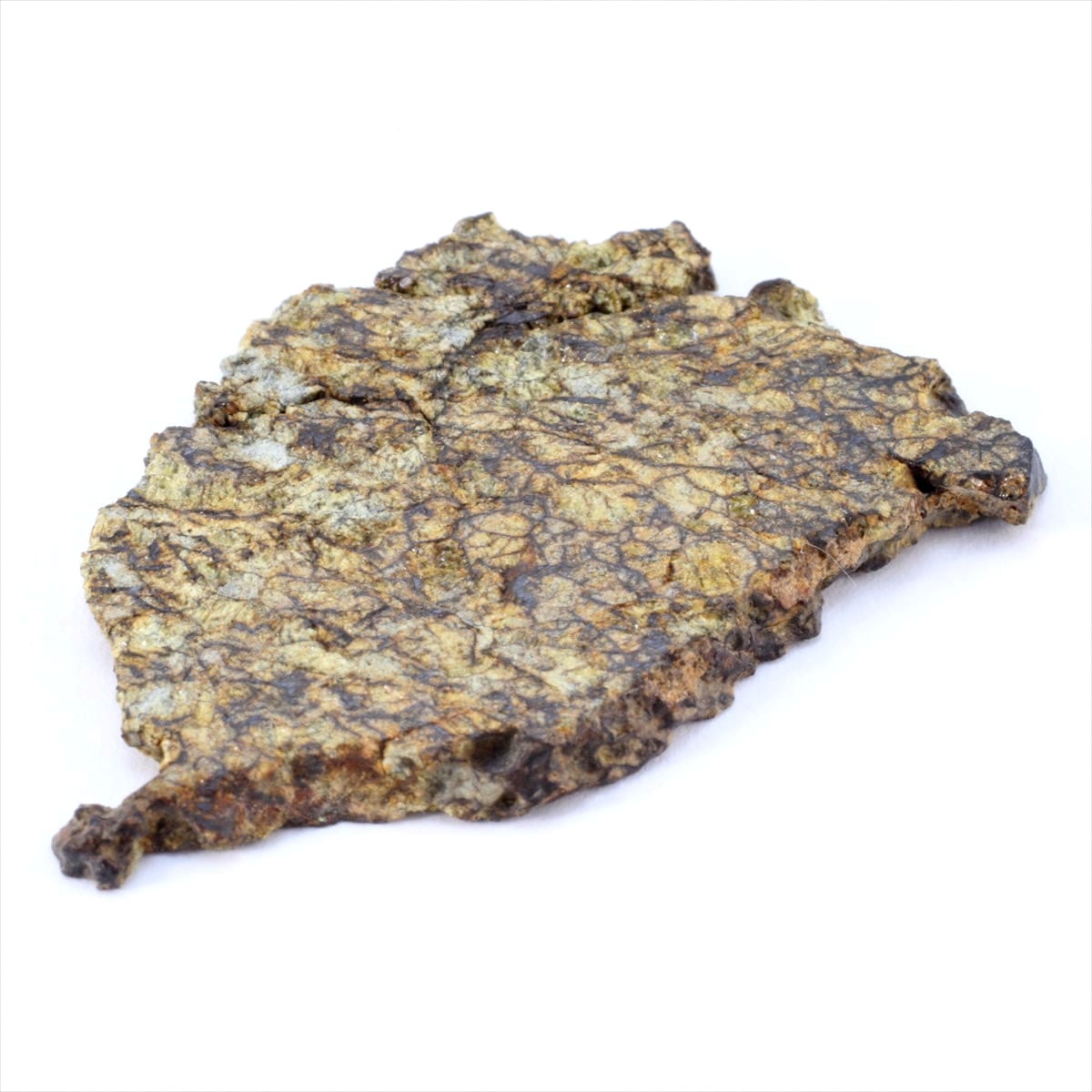 隕石のレア度：希少 | 隕石販売.jp