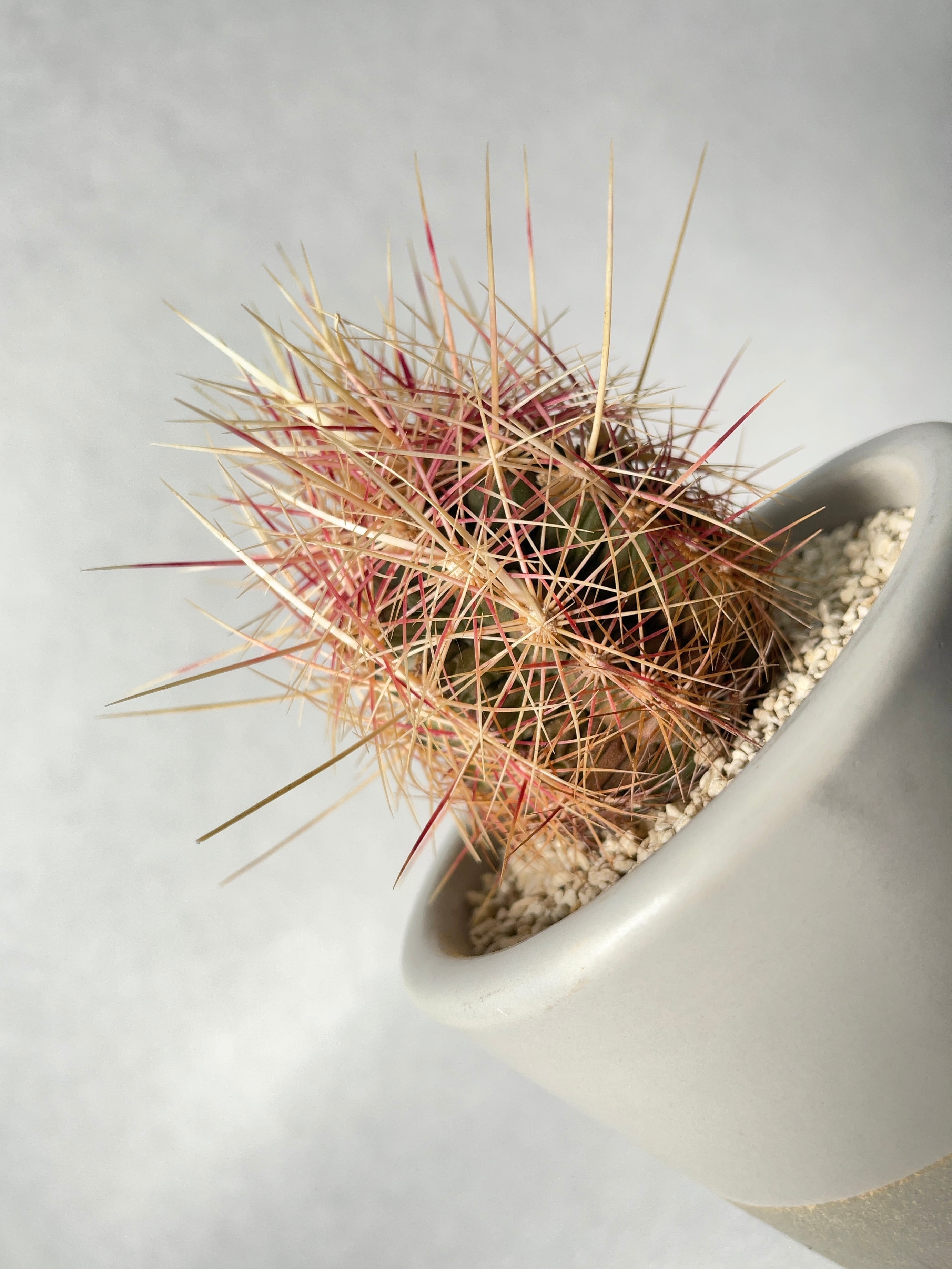 a07290b9055d23c2fff99412b8340a