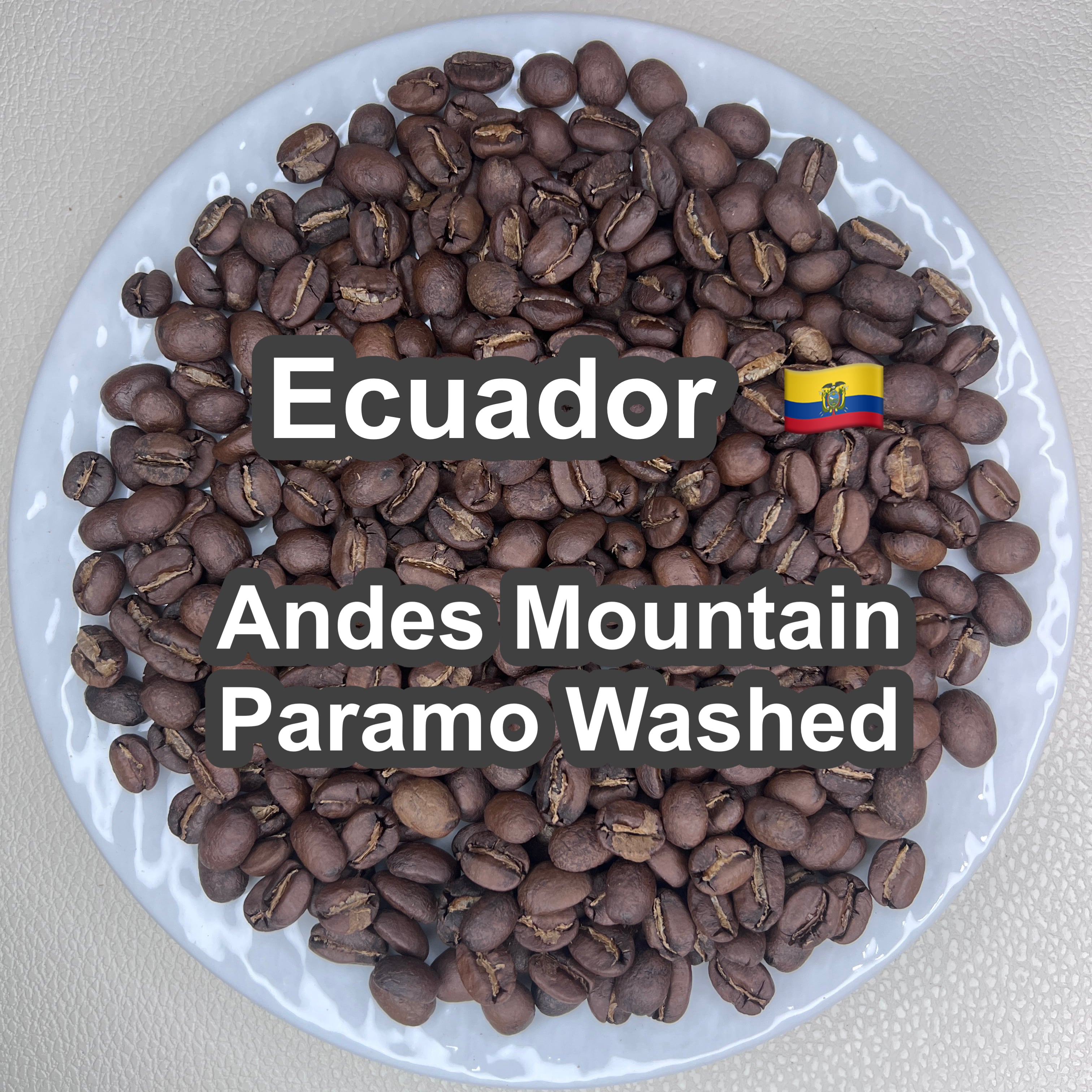 Ecuador Andes Mountain Paramo Washed(エクアドル アンデスマウンテン パラモ ウォッシュド)100g 【受注焙煎・自家焙煎コーヒー豆】【酸味と苦味のバランスが完璧】