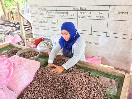 フィリピン・ミンダナオ島産 カカオ生豆 1kg | cocomas chocolate & cacao