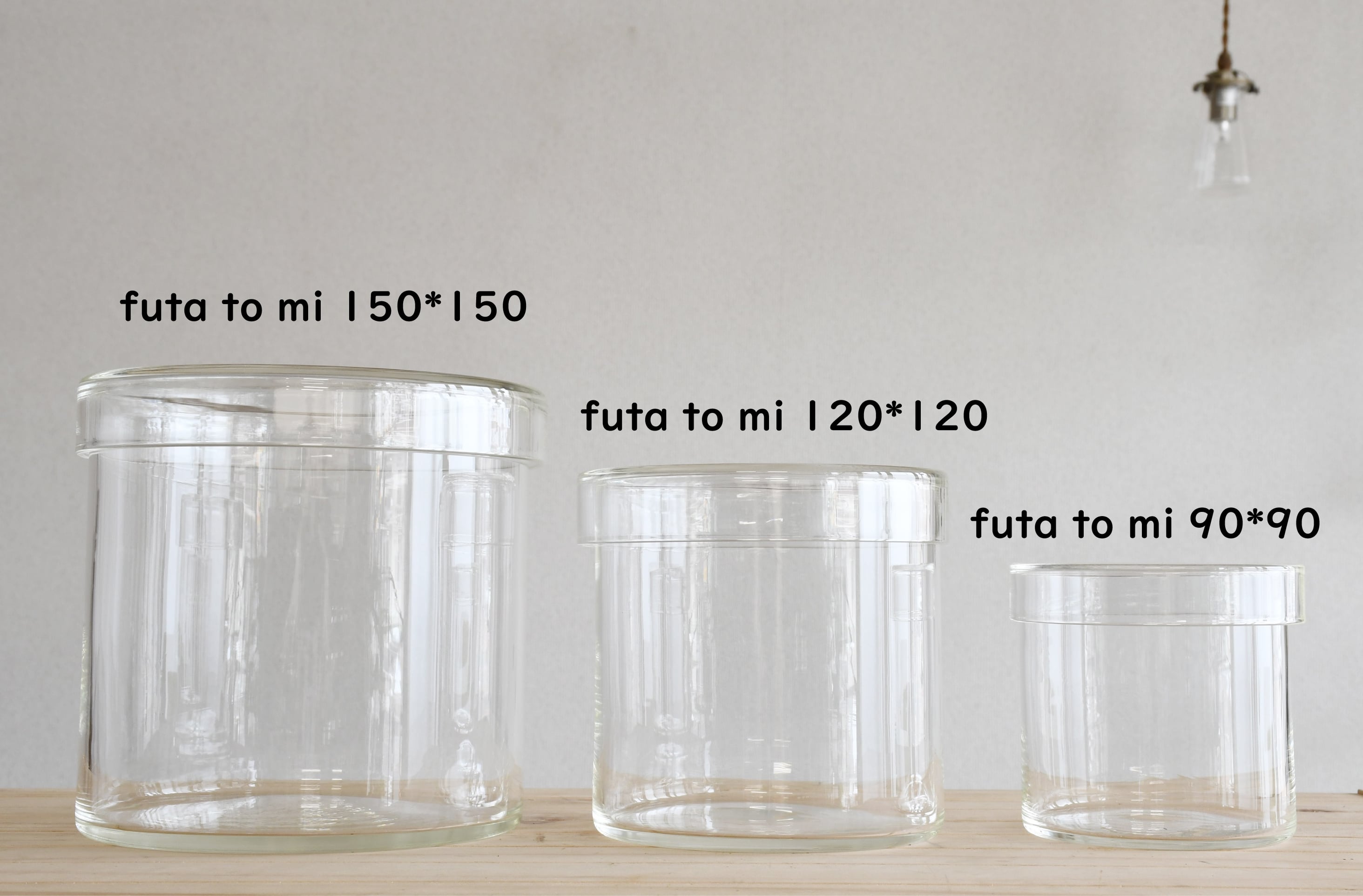 小泉硝子製作所 理化学ガラス容器】futa to mi 120x120 | 苔テラリウム