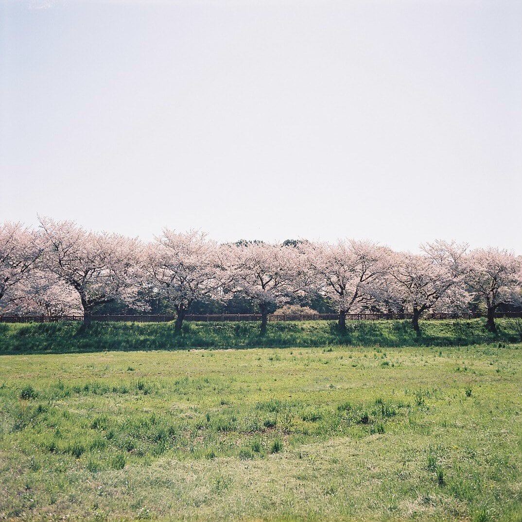 FUJICA SUPER FUJICA-6 FUJINAR 7.5cm F3.5 整備済 富士フイルム