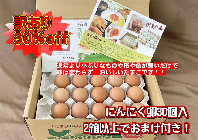 【送料無料（※沖縄除く）】にんにく卵（３０個入り定期便）