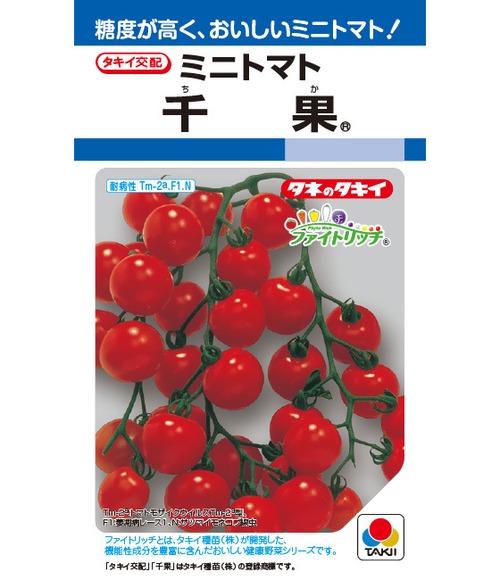 トマト 「千果」（RF） 画像