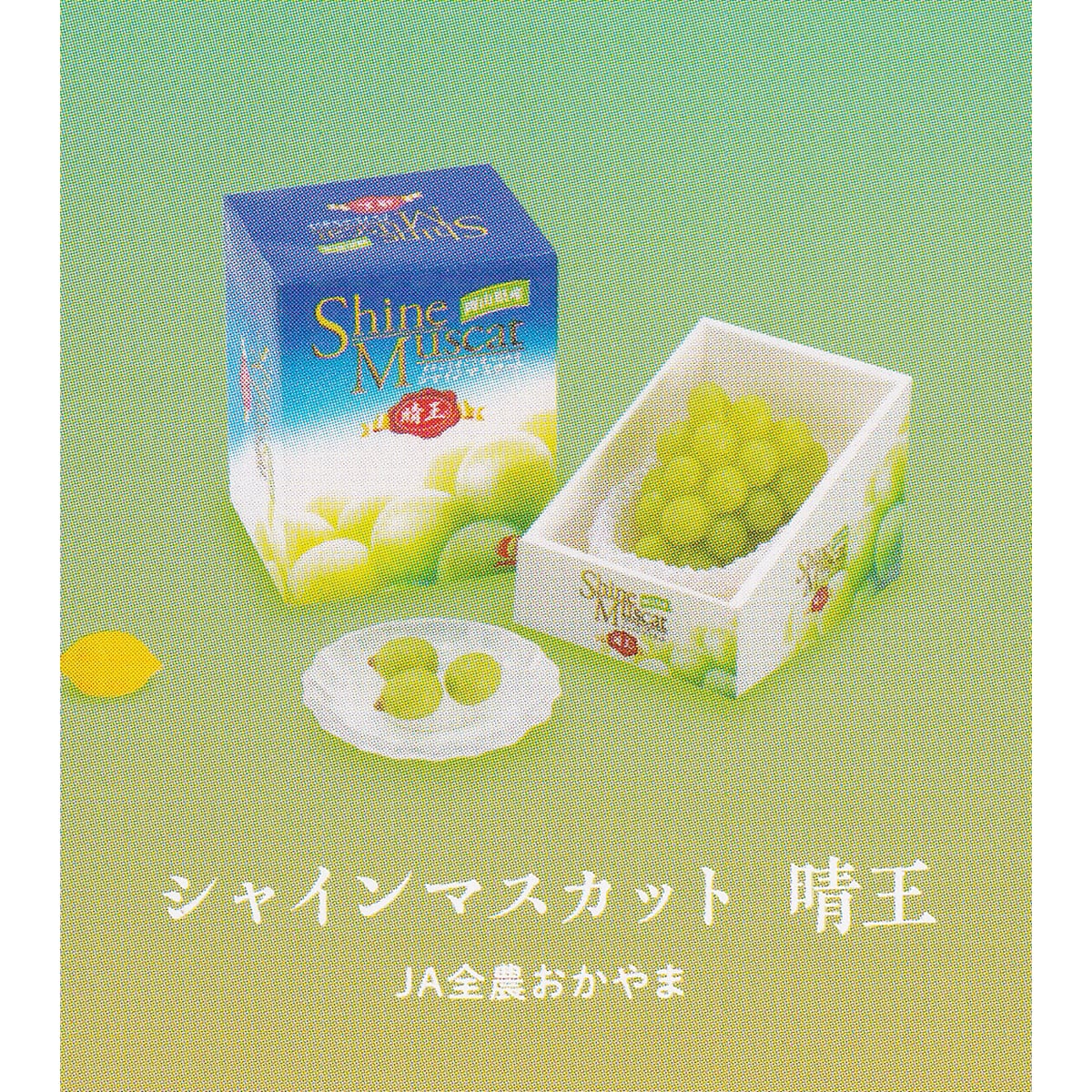a078d375c553b1d8d780a0a930b39d