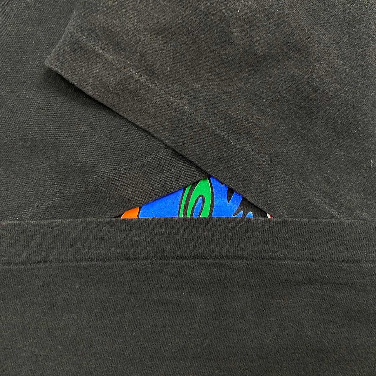 90年代 USA製 Black Crowes ブラック・クロウズ バンドTシャツ