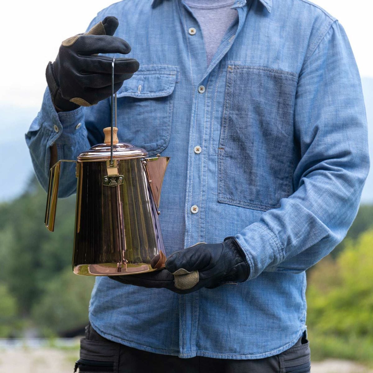 ファイヤーバトル Peashooter - Plants vs. Zombies Heroes - Mobile - The Spriters