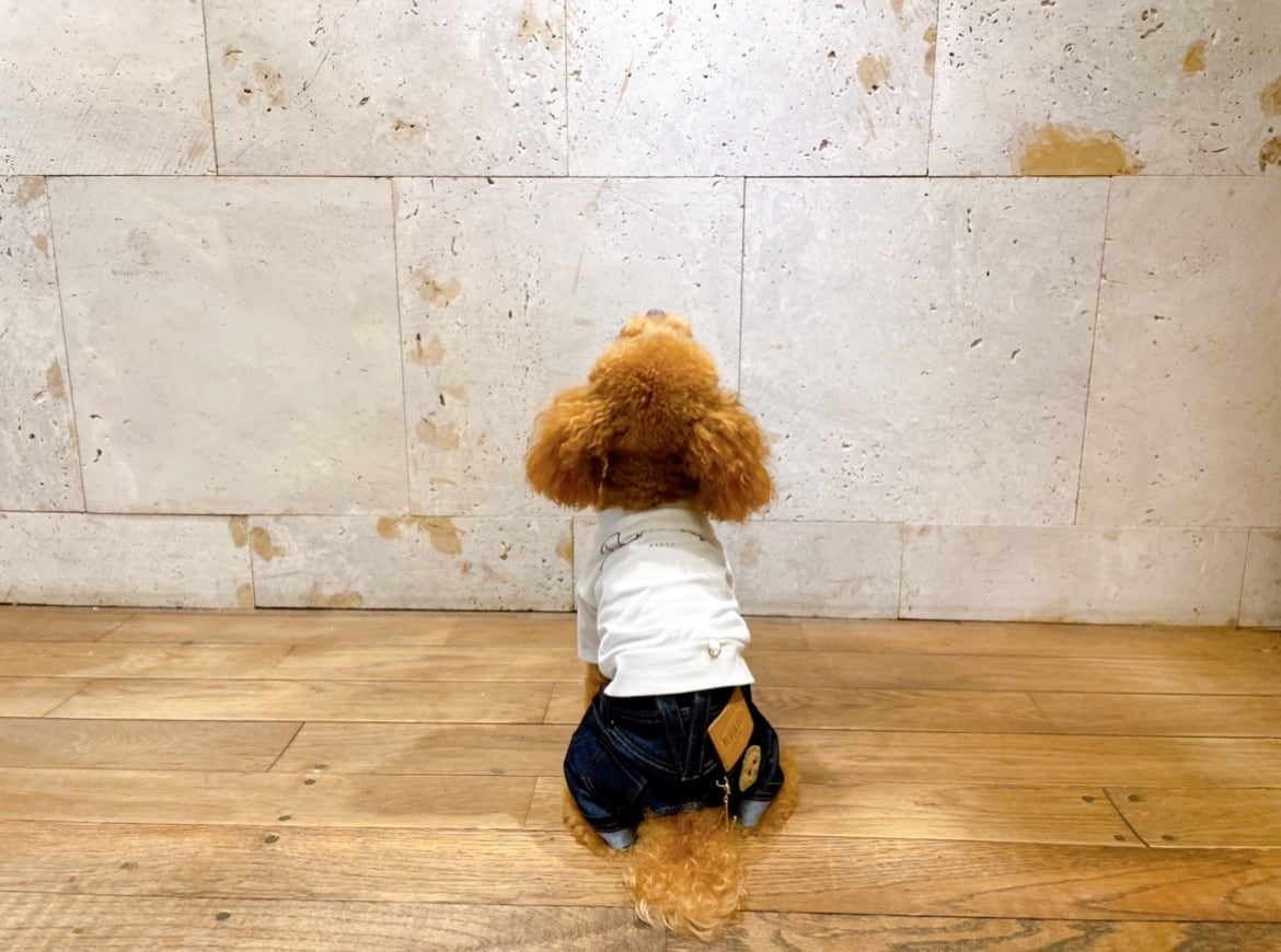 ワッペンデニムパンツ | DENIM ROSE