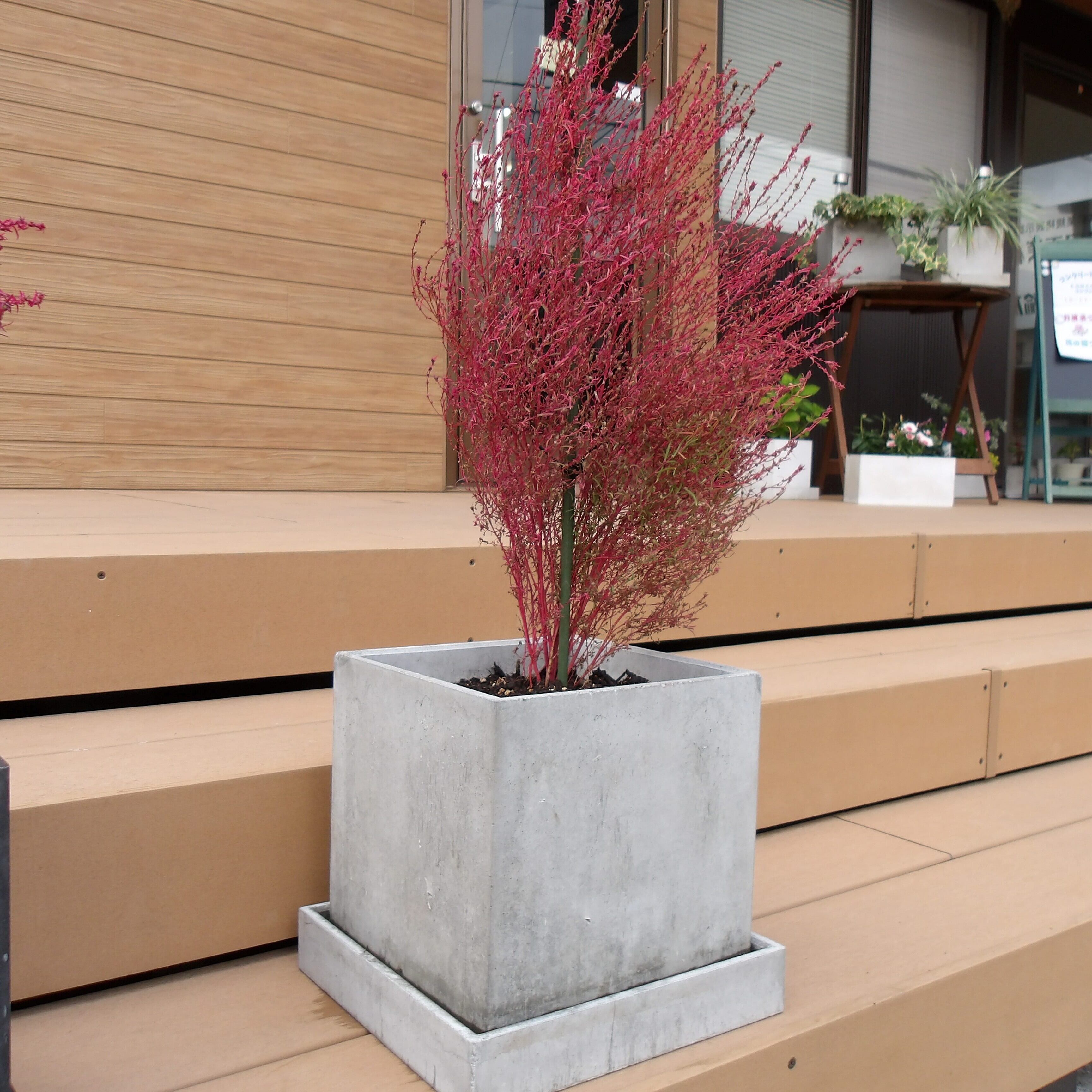 a0854018df767d58971f05d9be293c