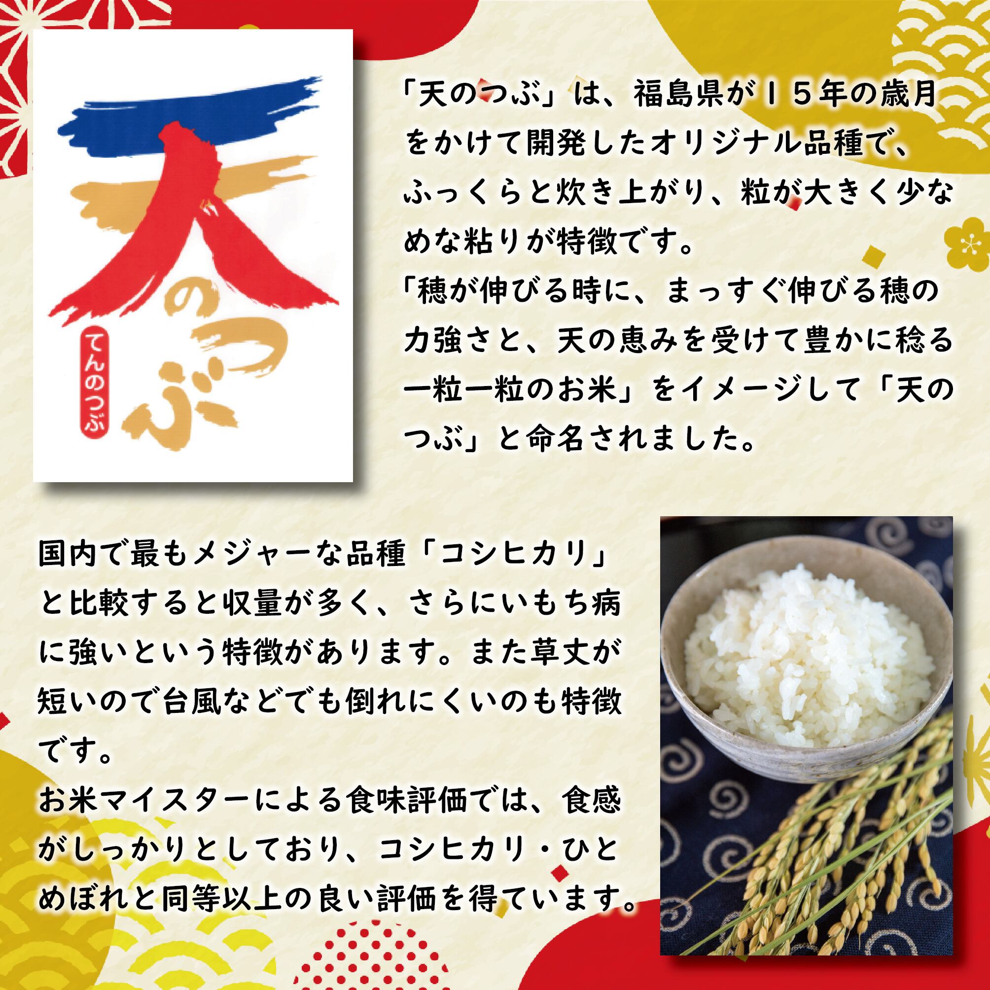令和6年産 福島県産 天のつぶ 10㎏(5kg×2) | みずほ食糧 令和6年産 福島県産 天のつぶ 10㎏(5kg×2) | みずほ食糧