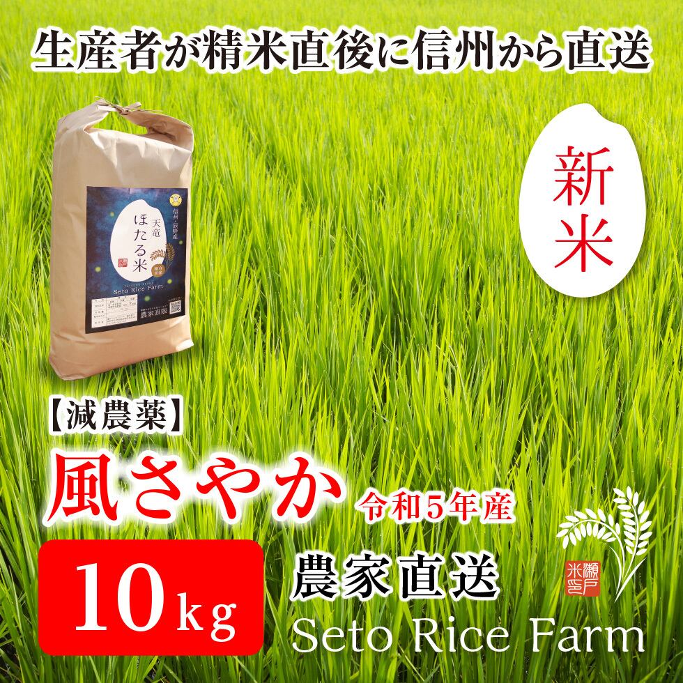 信州・辰野町　風さやか　瀬戸ライスファーム　あっさりとした食感が女性に好評！　10kg　農家直販のお米ショップ