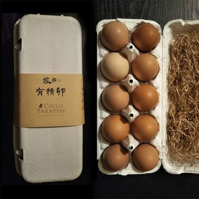 放飼い有精卵 ３０個 A 定期便 鶏の楽園 コッコパラダイス