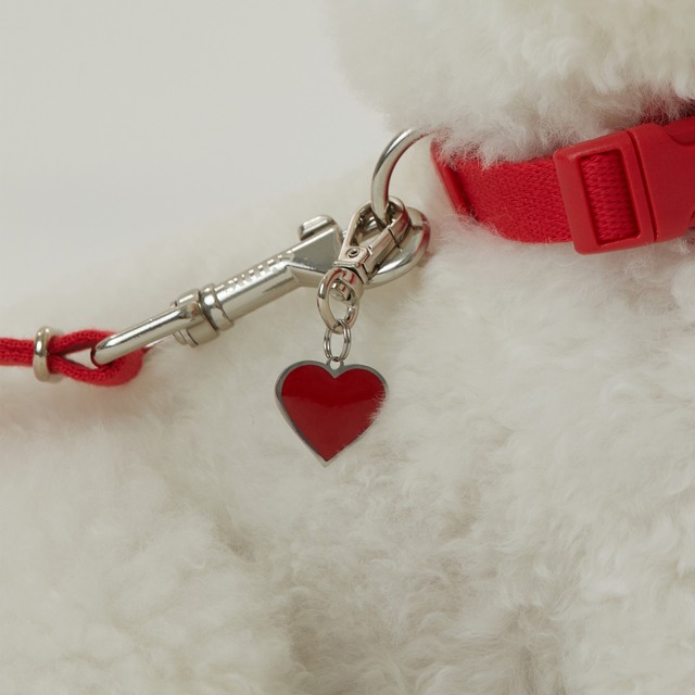 【予約】[thesallyslaw] Dear love naming clip（red）