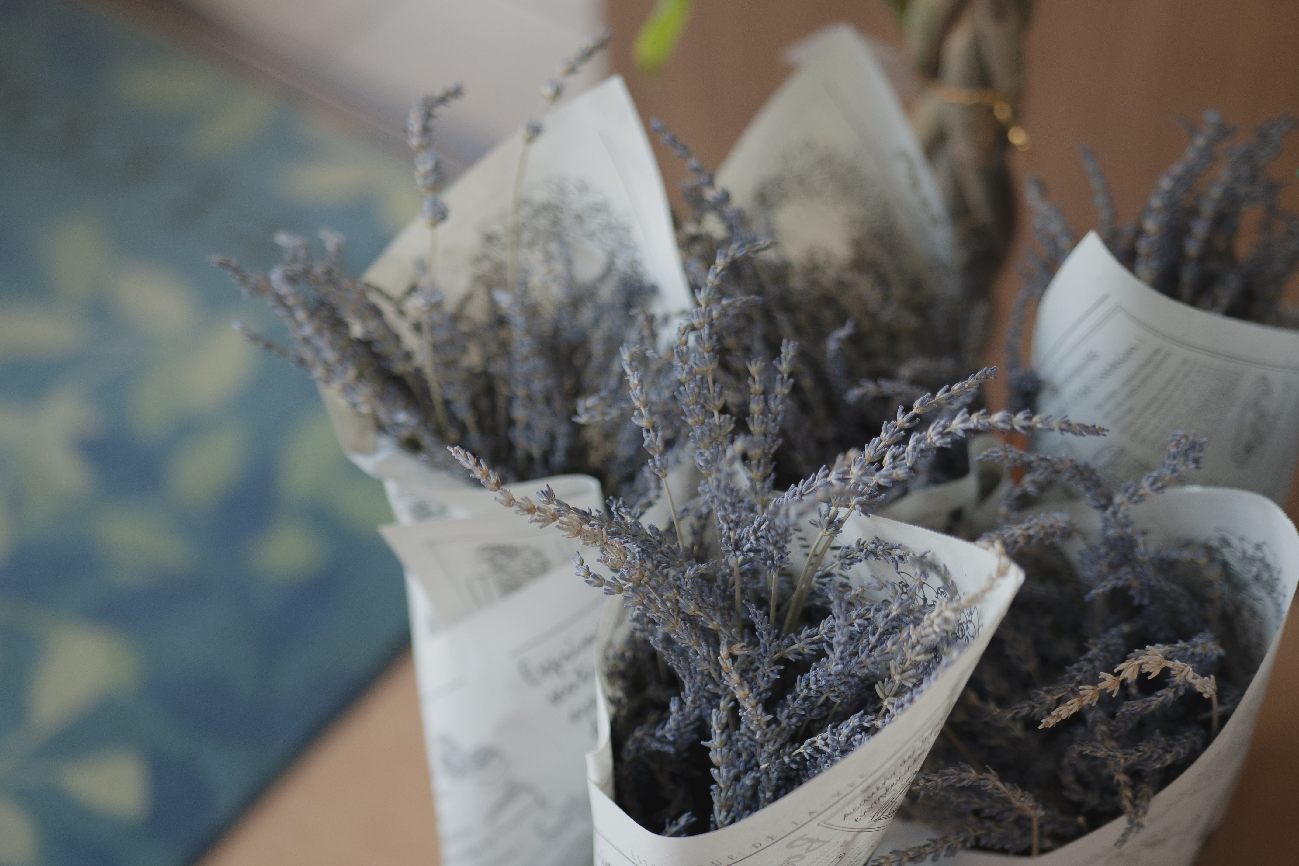 ハーブウォーター｜植物の恵みそのままに | sora herb garden