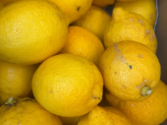 ice cream box 3月便 6個入り